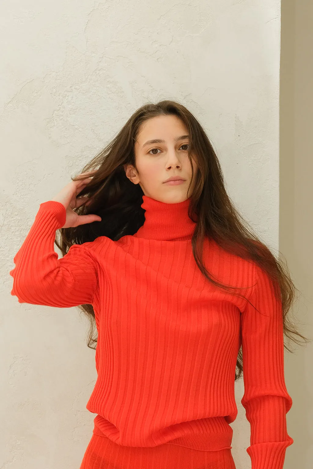EXTRA FINE MERINO WOOL RIBBED TURTLE NECK