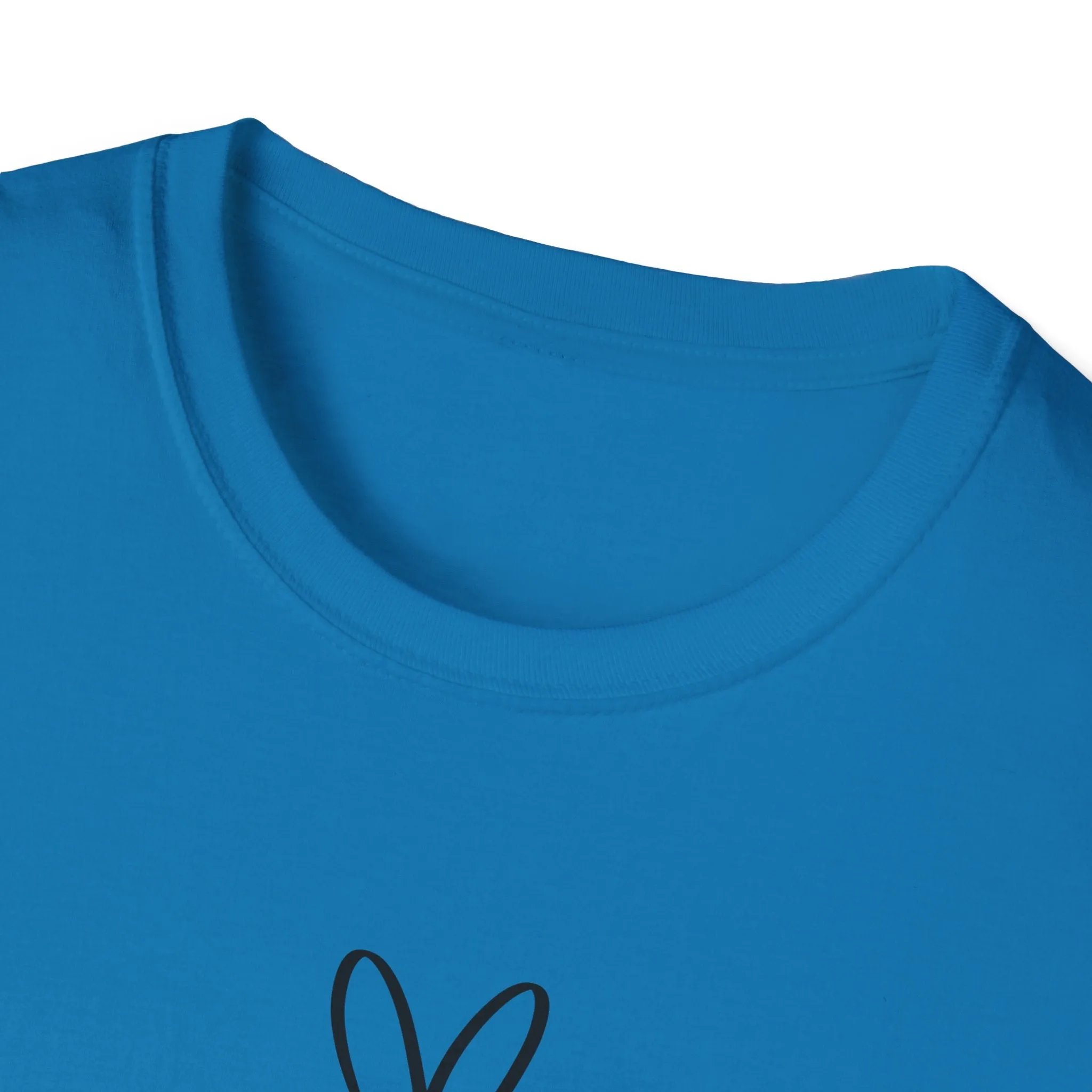 I Decide My Vibe" Soft Style Tshirt