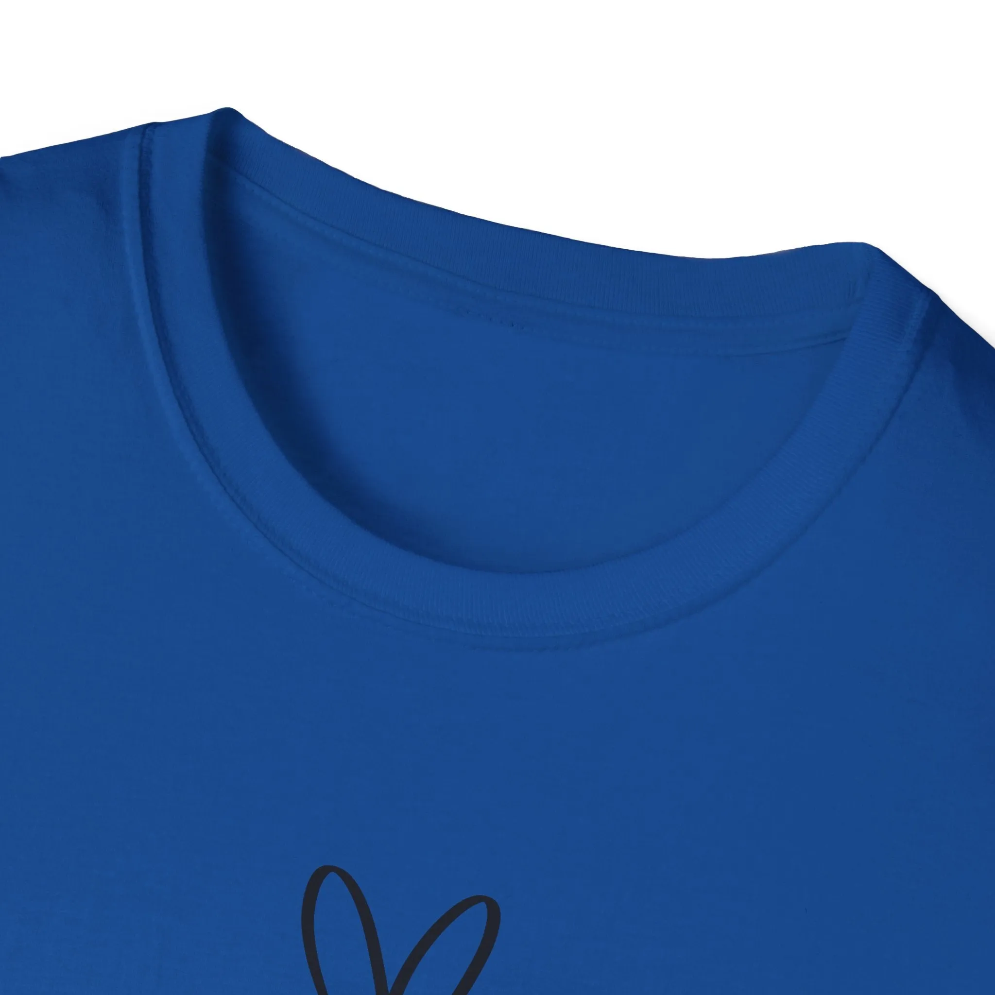 I Decide My Vibe" Soft Style Tshirt
