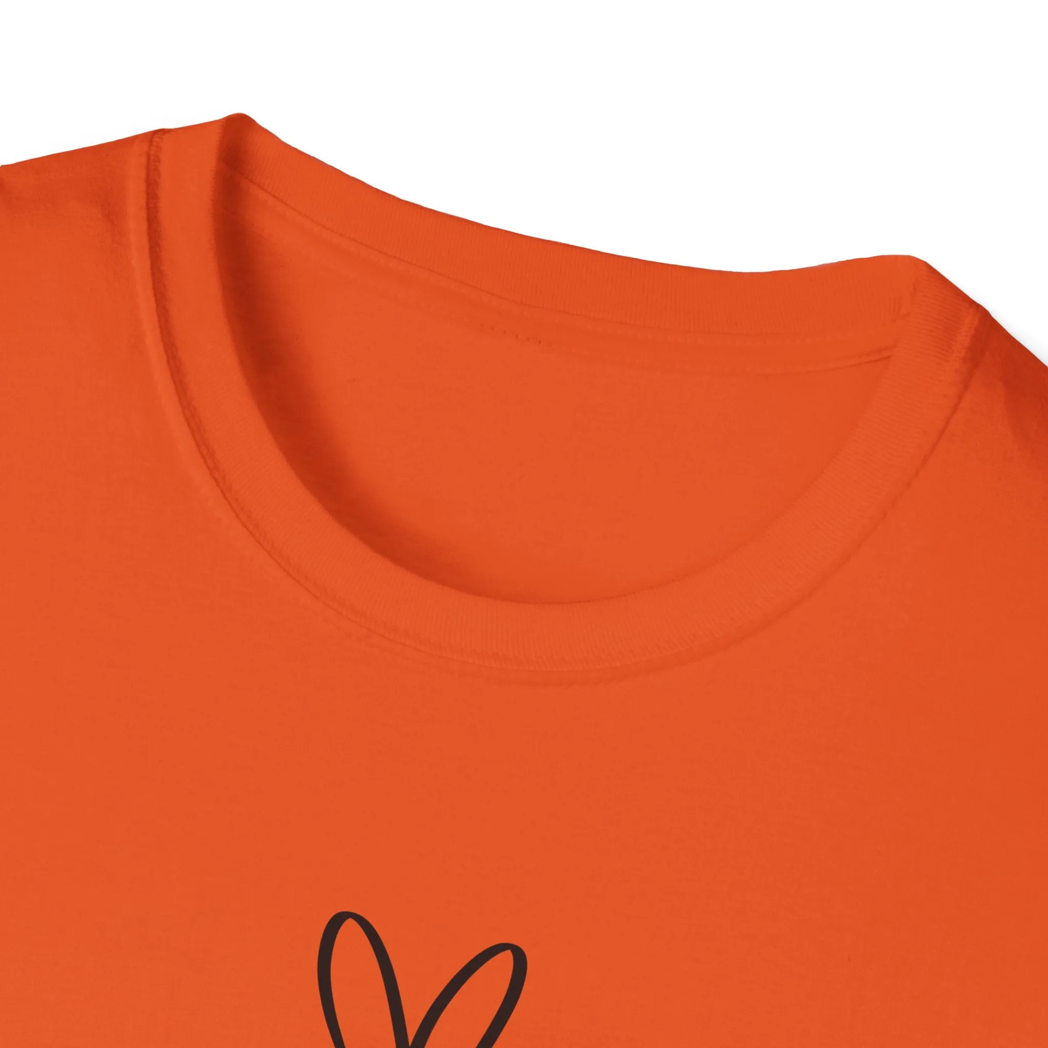 I Decide My Vibe" Soft Style Tshirt