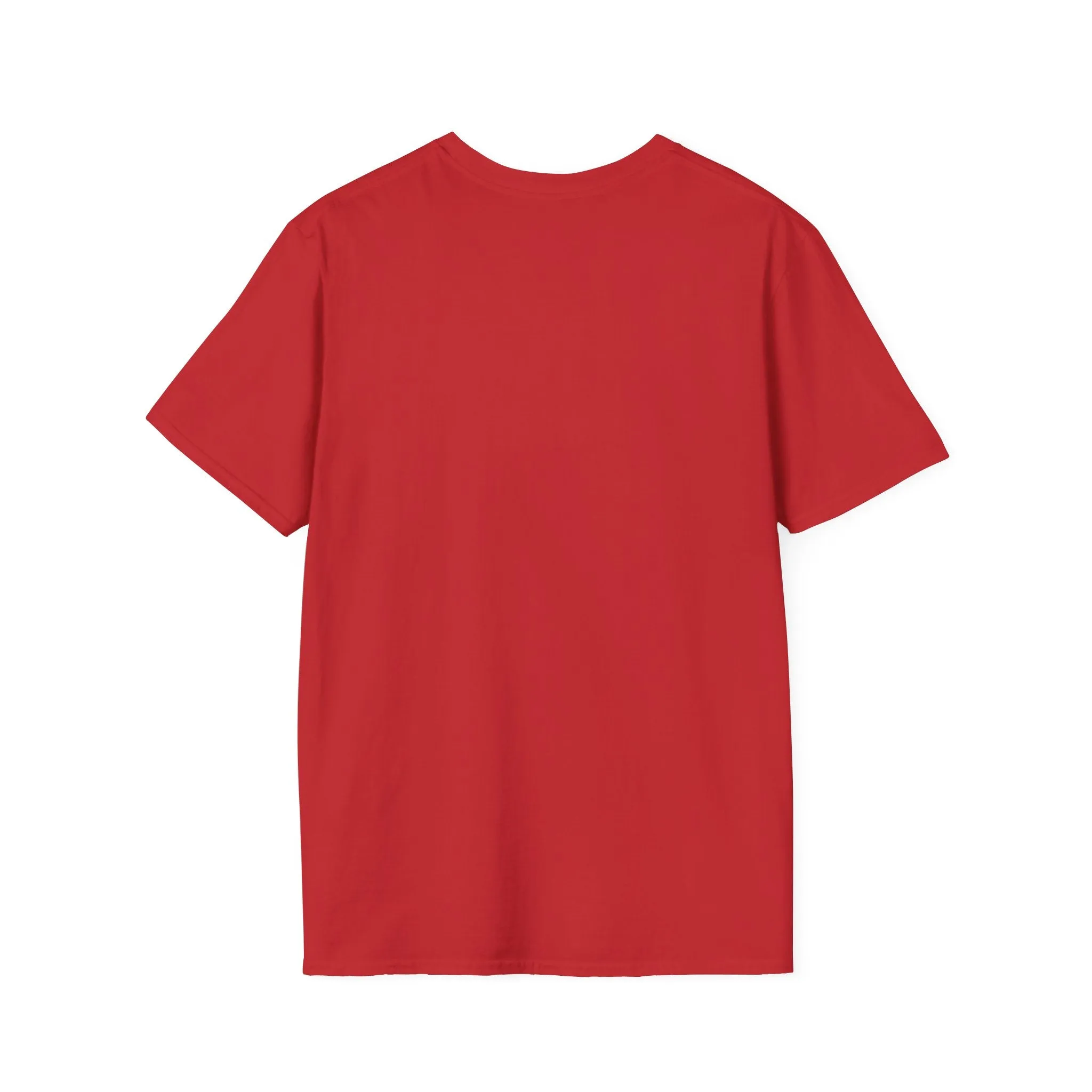 I Decide My Vibe" Soft Style Tshirt
