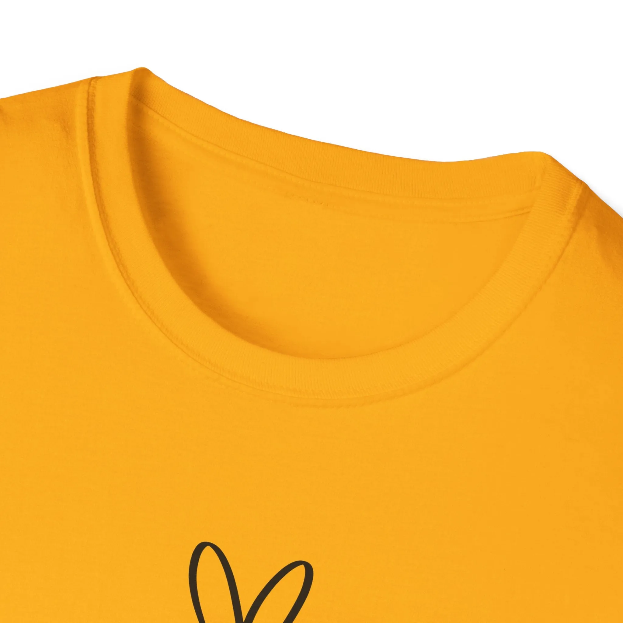I Decide My Vibe" Soft Style Tshirt
