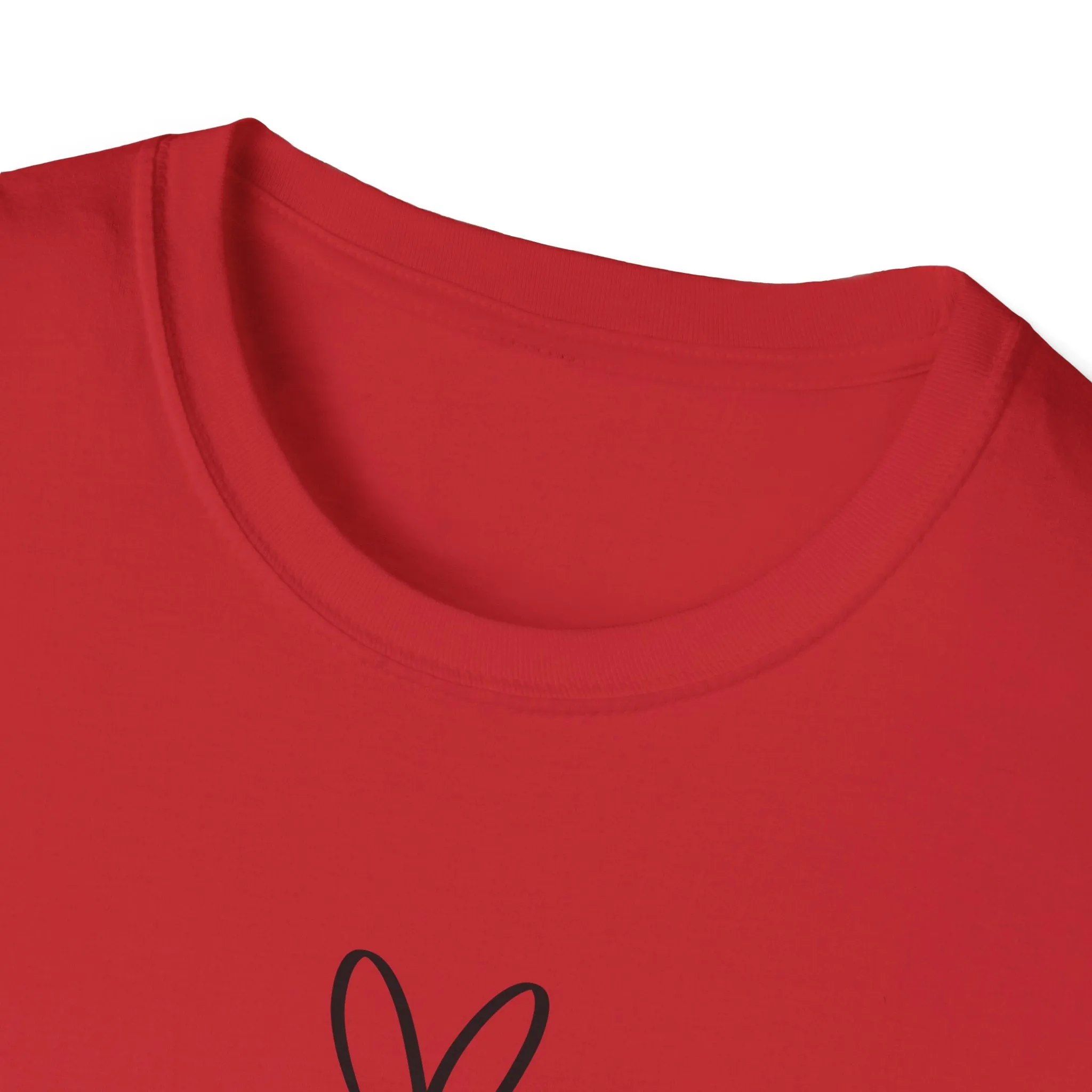 I Decide My Vibe" Soft Style Tshirt
