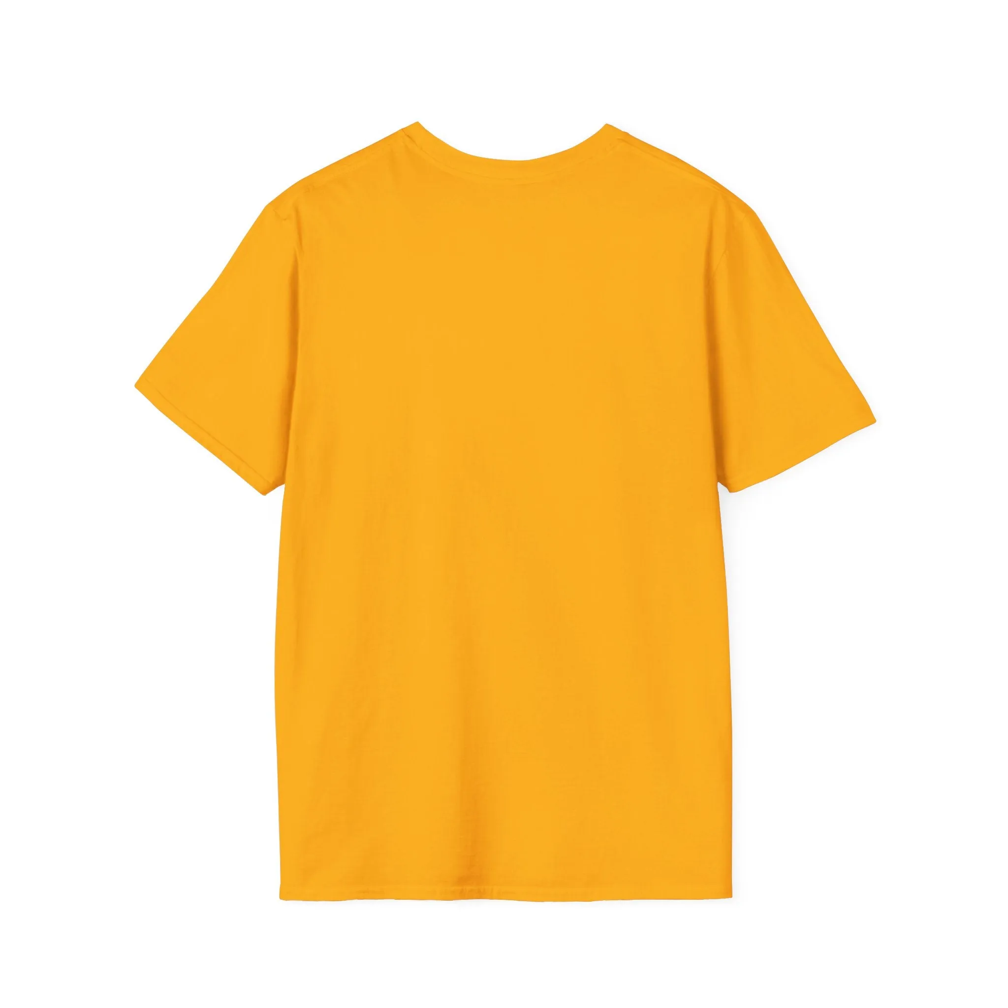 I Decide My Vibe" Soft Style Tshirt
