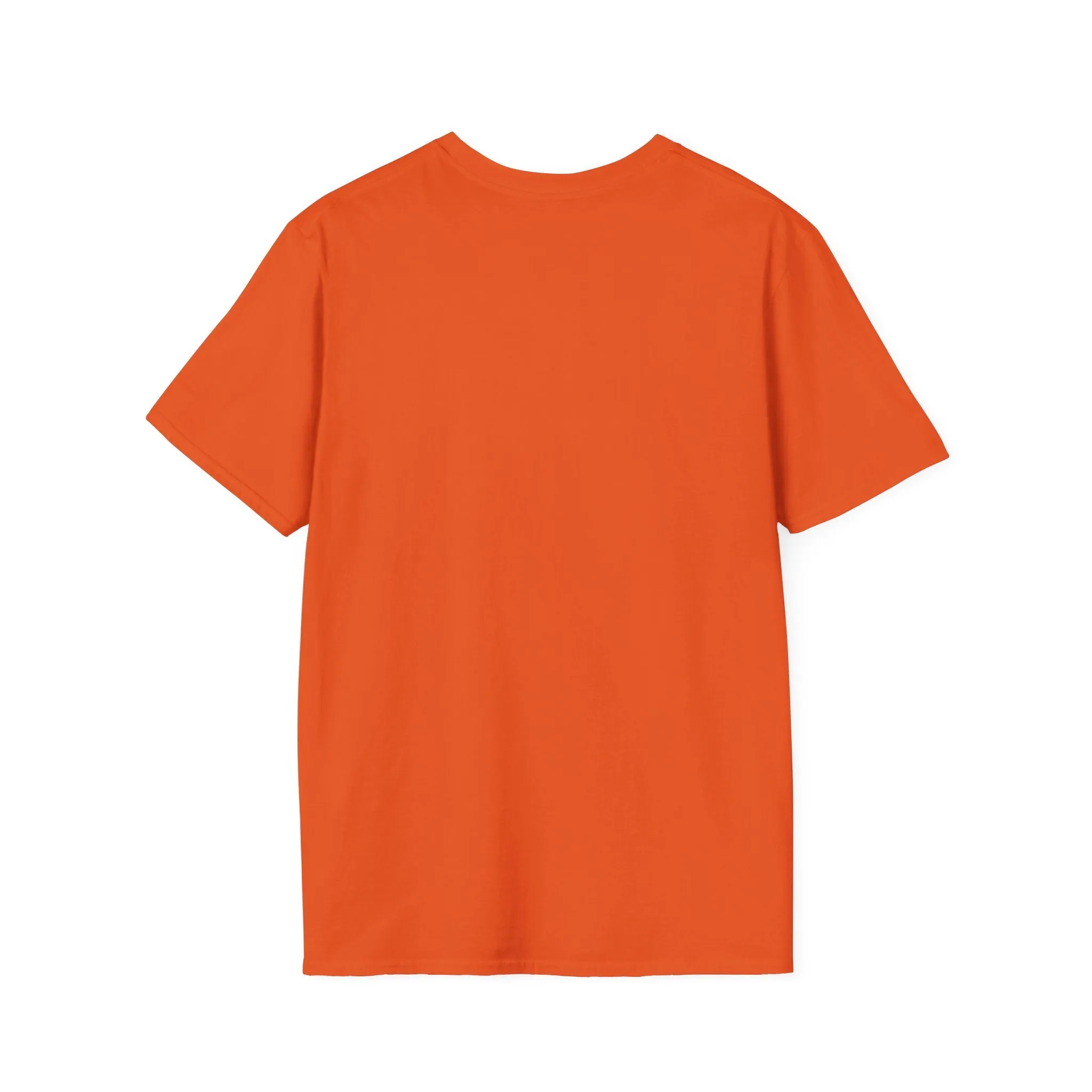 I Decide My Vibe" Soft Style Tshirt