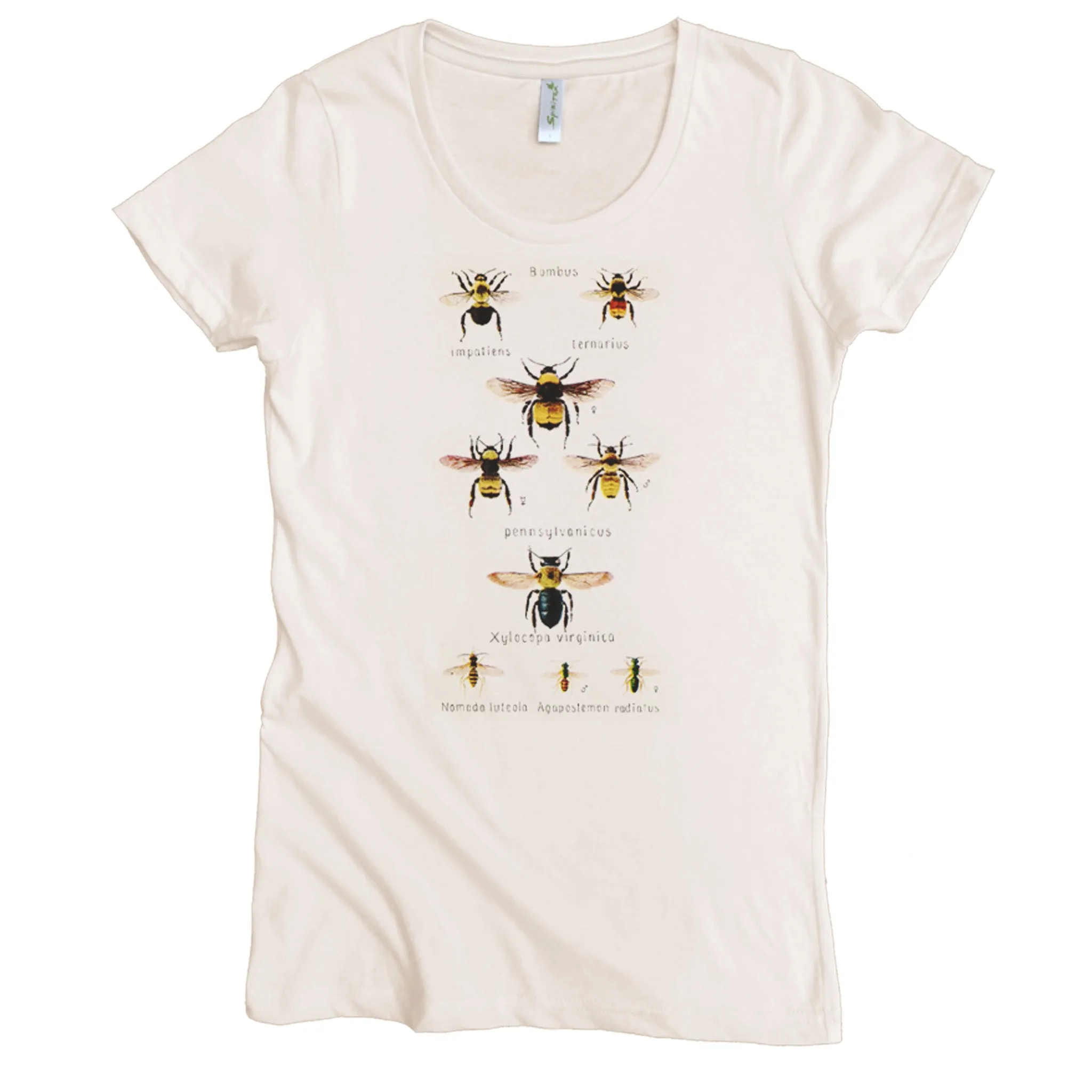 Latin Bee Graphic Tee (W)