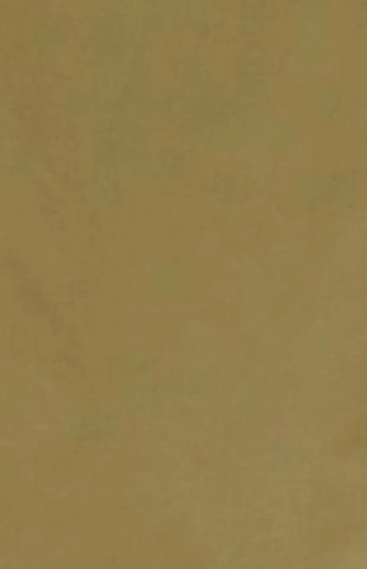 TONY Wide Leg Pant - Poplin